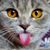 Joyce Morehouse's profile image