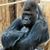 Rick Hundley's profile image