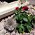Roxanne Furst-Collins's profile image