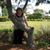 Patty Harlan's profile image