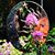 Suzy Cline's profile image
