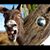 Johnny Paul Lester Jr.'s profile image
