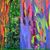 Amy Daggett Dodds's profile image