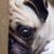 Pat Freeman's profile image