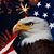 Donald P Howard's profile image