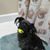 Cassie Corbit's profile image