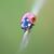 Roxanne Caldwell Fridley's profile image