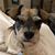 Amy Dahlin's profile image