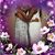Chaneé Nicolette's profile image