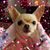 Sandy Eatherly's profile image