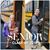 Laura N. Matt Krause's profile image