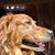 Rosemary Cole's profile image