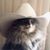 Megan Gonzales's profile image