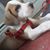 Rafita Renteria's profile image