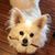 Sari Lieberman's profile image