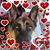 Parrott Preston Linda's profile image