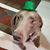 Jenny Dedes's profile image