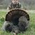 Bill Smith's profile image