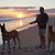 Jeff Konstanzer's profile image