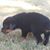 Karen Wood's profile image