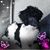 Sherry Noss's profile image