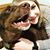 Brianna Kamler's profile image