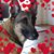 Deirdre Cline-Johnson's profile image
