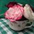 Karen Allen's profile image