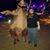 Lynette Shaw-Smith's profile image
