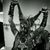 Kasie Wilson's profile image