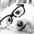 Catherine Smith McGregor's profile image