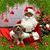 Marcy Fenno-Nelson's profile image