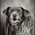 Kelli Muraca Buster's profile image