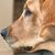 Melinda Rosenberger's profile image