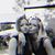 Tanja Borchert's profile image