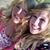 Shelli Appling's profile image
