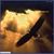 Holly Silks Hammill's profile image