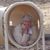 Barb Halley-Hill's profile image