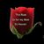 Susie Everson Kirner's profile image