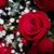 Brenda Hamelin's profile image