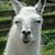 Reuben West's profile image