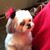 Gene McIlree's profile image