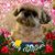 Sherry Marquez's profile image