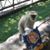 Anne Eiler's profile image
