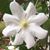 Wendy Power Roderick's profile image
