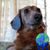 Lola Cain's profile image