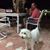 Mark A. Salerno's profile image