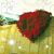 Rosemary Duff's profile image