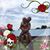 Crystal Row-Scheuring's profile image