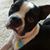 Mary Ann McKay's profile image